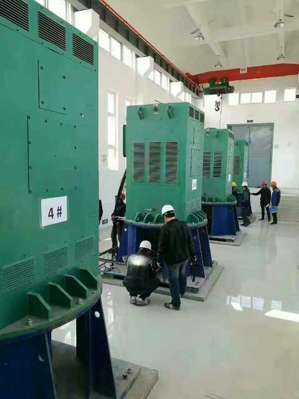 伊川某污水处理厂使用我厂的立式高压电机安装现场
